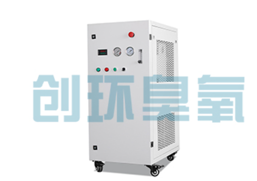 铜陵石斑鱼养殖水质调控完整指南：臭氧发生器配置与操作步骤