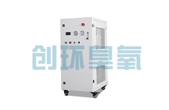 铜陵比传统换水更高效？臭氧发生器在石斑鱼养殖中的水质净化原理解析